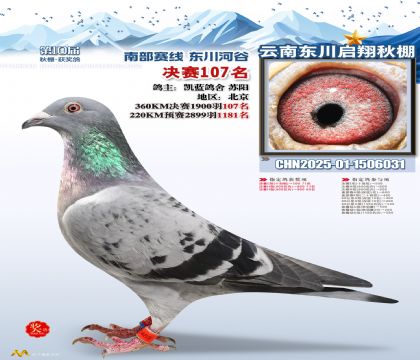 东川启翔决赛107名