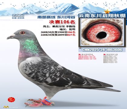 东川启翔决赛106名