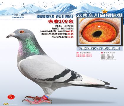 东川启翔决赛108名