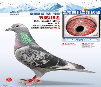 东川启翔决赛110名