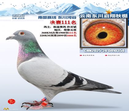 东川启翔决赛111名