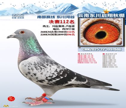 东川启翔决赛112名