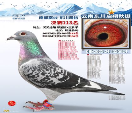 东川启翔决赛113名