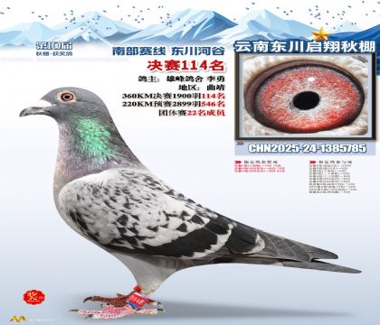 东川启翔决赛114名