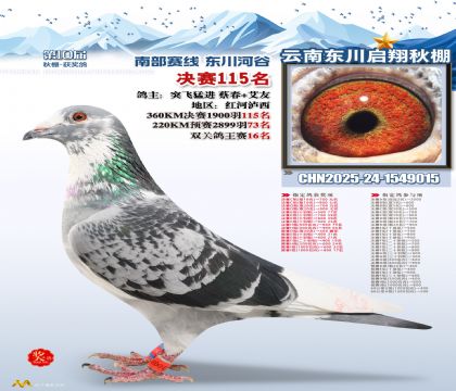 东川启翔决赛115名