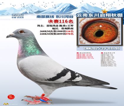 东川启翔决赛116名