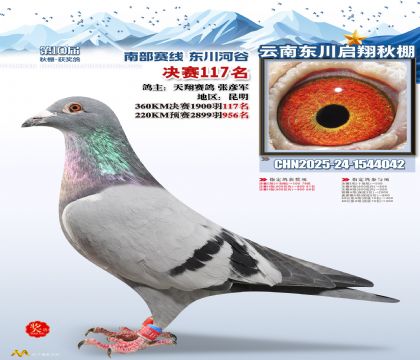 东川启翔决赛117名