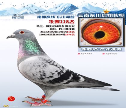 东川启翔决赛118名