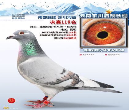 东川启翔决赛119名