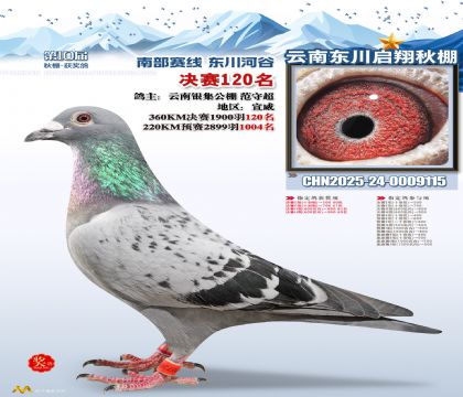 东川启翔决赛120名