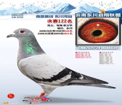 东川启翔决赛122名