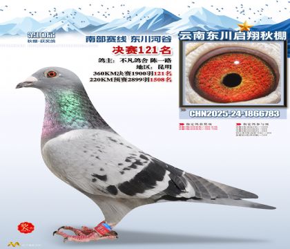 东川启翔决赛121名