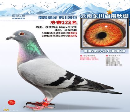 东川启翔决赛123名