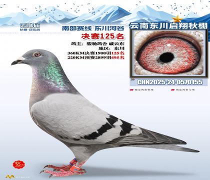 东川启翔决赛125名