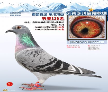 东川启翔决赛126名