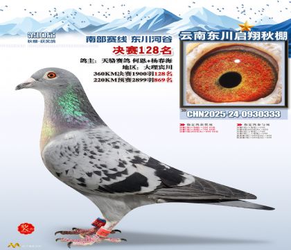 东川启翔决赛128名