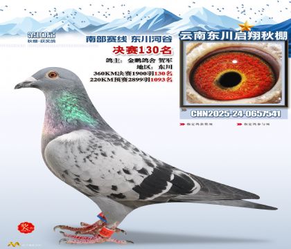 东川启翔决赛130名