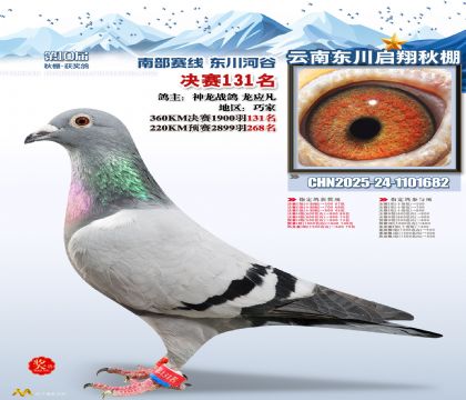 东川启翔决赛131名