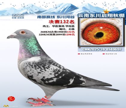 东川启翔决赛132名