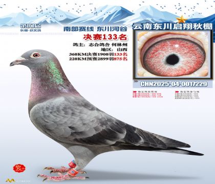 东川启翔决赛133名