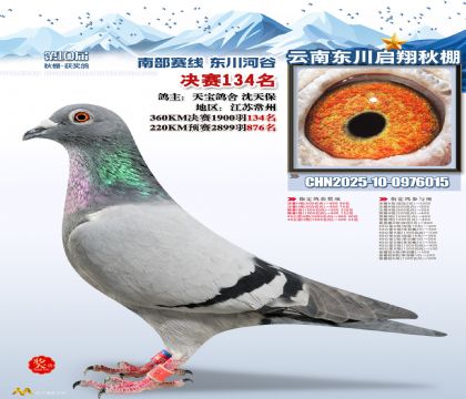 东川启翔决赛134名