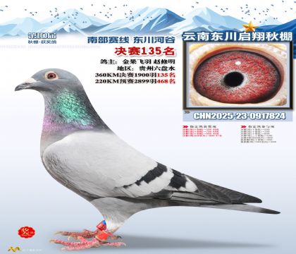 东川启翔决赛135名