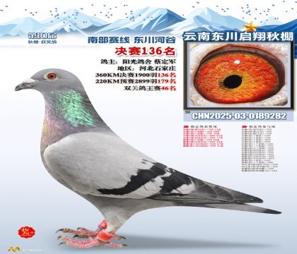 东川启翔决赛136名