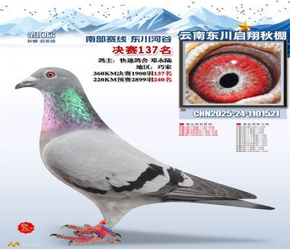 东川启翔决赛137名