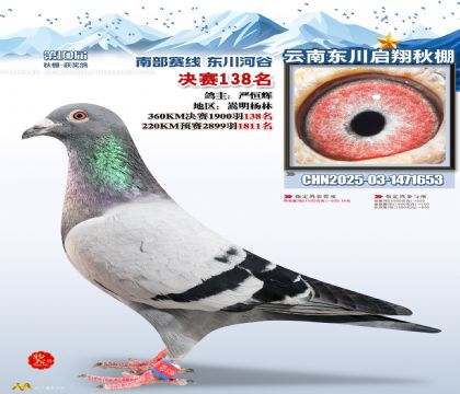 东川启翔决赛138名