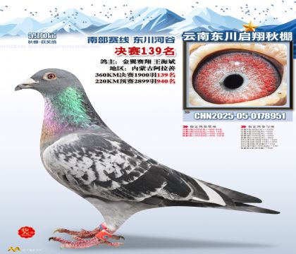 东川启翔决赛139名