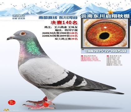 东川启翔决赛140名