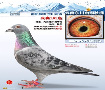 东川启翔决赛141名