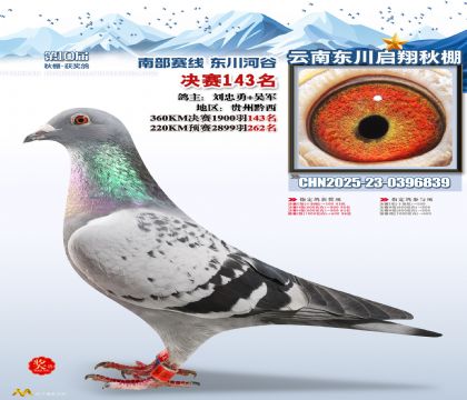 东川启翔决赛143名