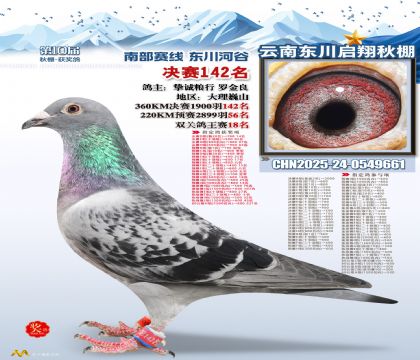 东川启翔决赛142名