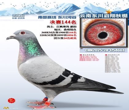 东川启翔决赛144名