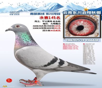 东川启翔决赛145名