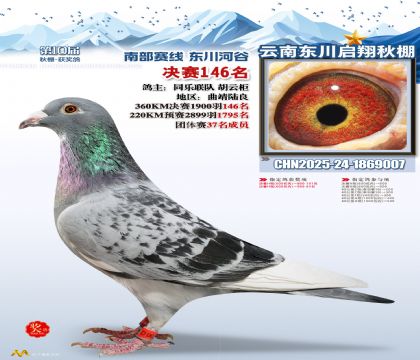 东川启翔决赛146名