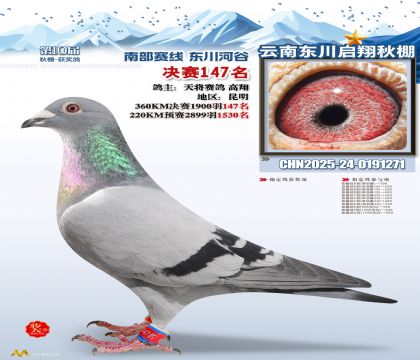 东川启翔决赛147名