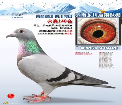 东川启翔决赛148名