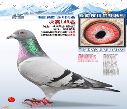 东川启翔决赛149名