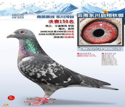 东川启翔决赛150名