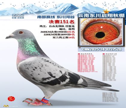 东川启翔决赛151名