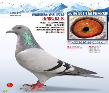 东川启翔决赛152名