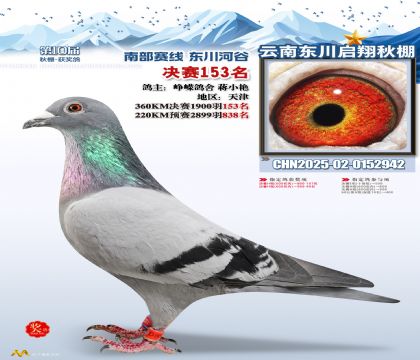 东川启翔决赛153名