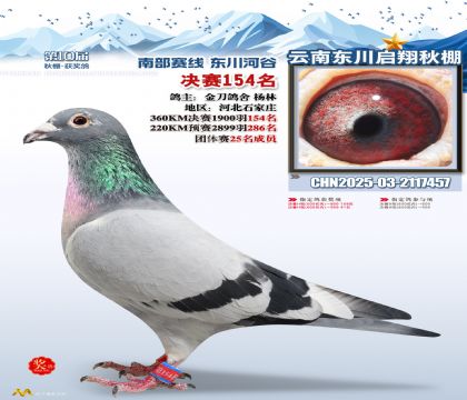 东川启翔决赛154名