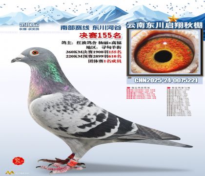 东川启翔决赛155名