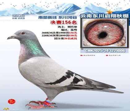 东川启翔决赛156名