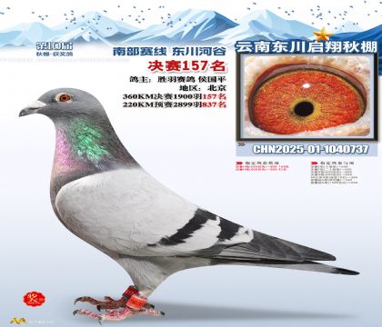 东川启翔决赛157名