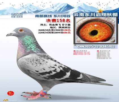 东川启翔决赛158名