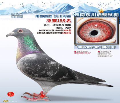 东川启翔决赛159名